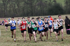 Junior men, 2018 Northern Cross Country Champs., Harewood House, Leeds. Photo: David T. Hewitson/Sports for All Pics
